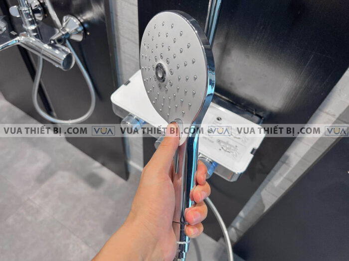 anh thuc te voi sen american standard wf 4956 9