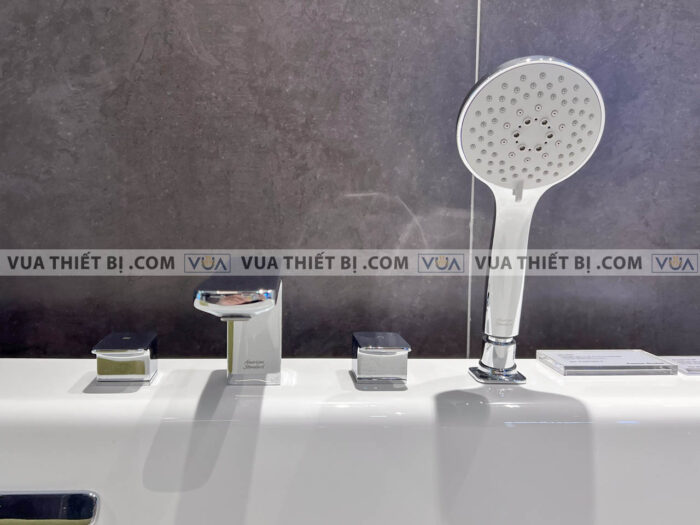 anh thuc te voi sen bon tam american standard wf 1300