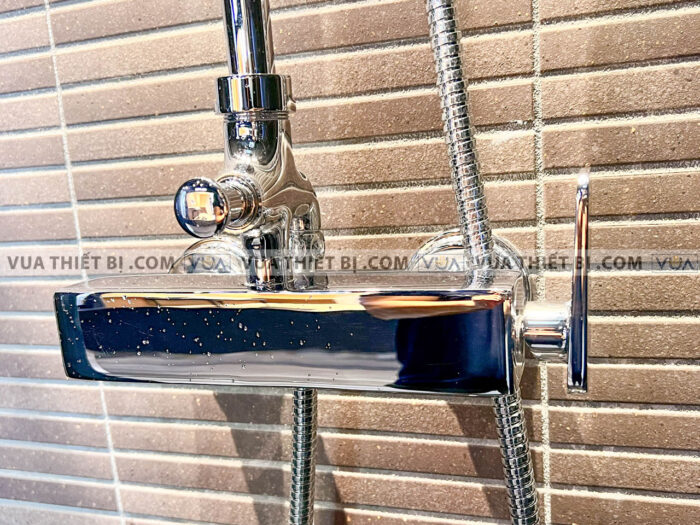 anh thuc te voi sen cay american standard a 6110978903 wf 3672 4