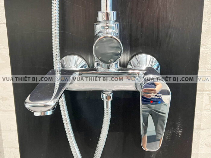 anh thuc te voi sen cay american standard a 6110978904 wf 0972 4