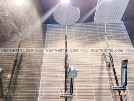 anh thuc te voi sen cay american standard a 6110978904 wf 4948 6