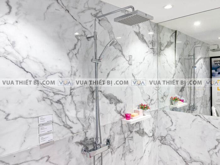 anh thuc te voi sen cay american standard a6110978903 wf 3672 1 1