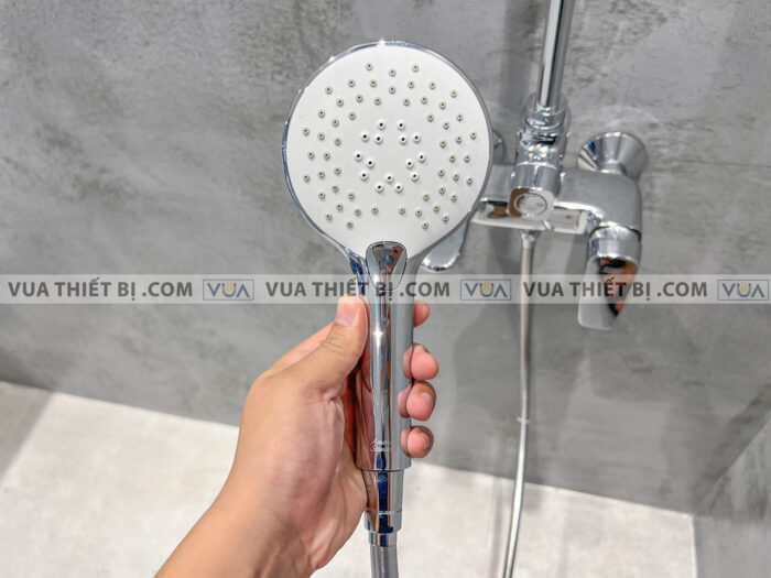 anh thuc te voi sen cay american standard wf 1772 7