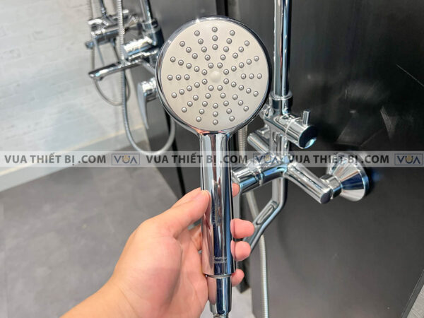 anh thuc te voi sen cay american standard wf 9088 5