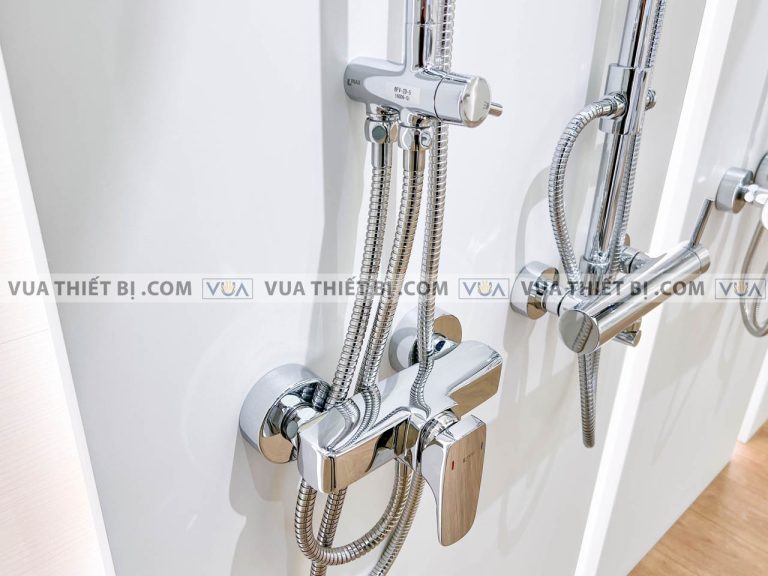 anh thuc te voi sen cay inax bfv 50s nong lanh 4