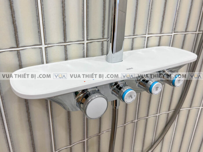 anh thuc te voi sen cay inax bfv 655t 4