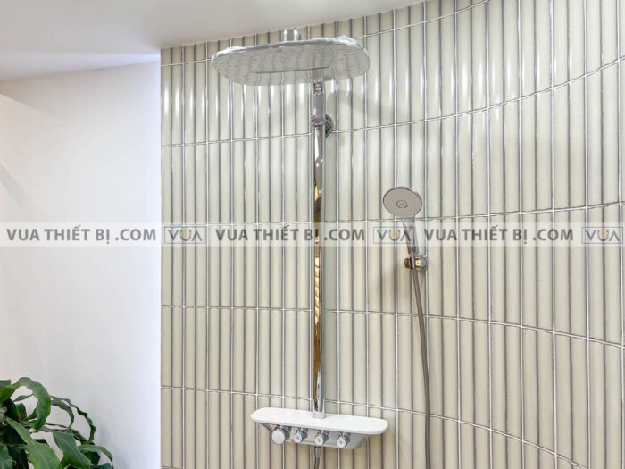 anh thuc te voi sen cay inax bfv 655t 6