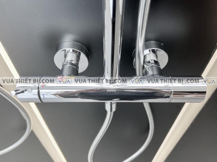 anh thuc te voi sen cay toto tbw01302b nong lanh 2