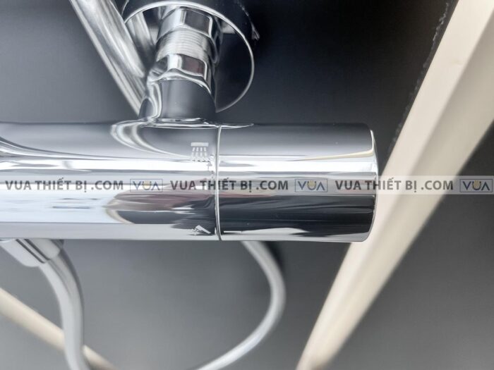 anh thuc te voi sen cay toto tbw01302b nong lanh 3