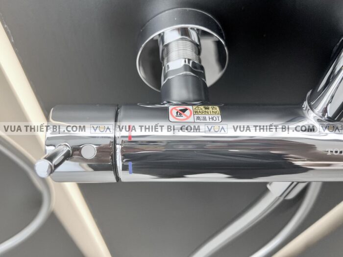 anh thuc te voi sen cay toto tbw01302b nong lanh 4