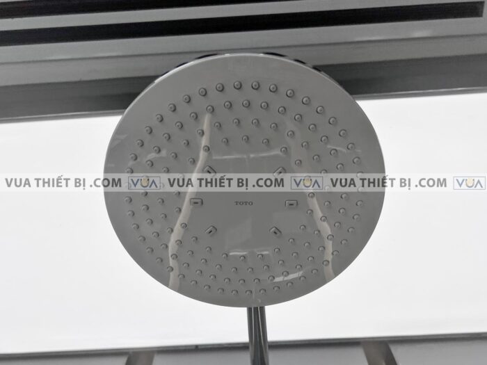 anh thuc te voi sen cay toto tbw01302b nong lanh 7