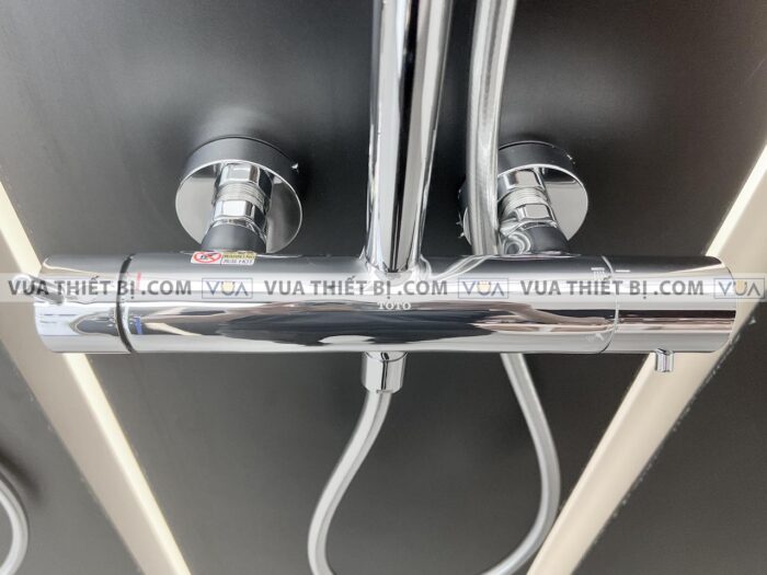 anh thuc te voi sen cay toto tbw01303b 2 che do phun massage 2