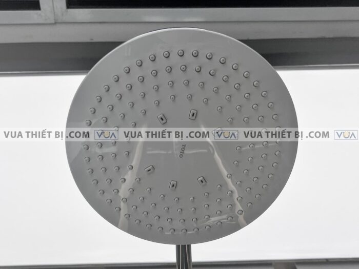 anh thuc te voi sen cay toto tbw01401b tbw01401ba tbw01401bb nhiet do 9