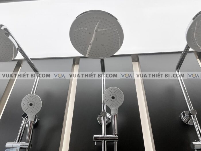 anh thuc te voi sen cay toto tbw01402b nhiet do 7