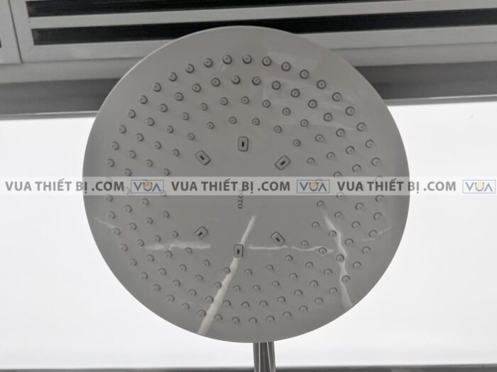 anh thuc te voi sen cay toto tbw01402b nhiet do 8