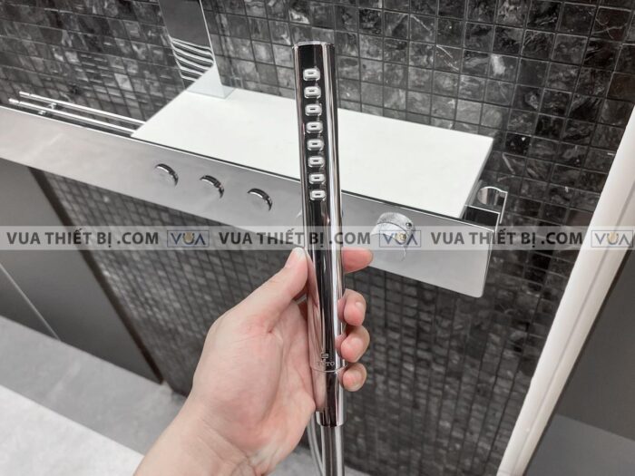 anh thuc te voi sen cay toto tbw05401a nhiet do 6