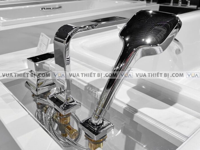 anh thuc te voi sen xa bon tam toto tbg08305a gan bon 3 lo gc 2