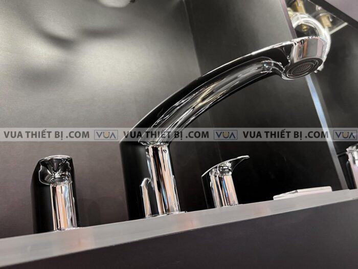 anh thuc te voi sen xa bon tam toto tbg09201b gan bon 3 lo gm 5