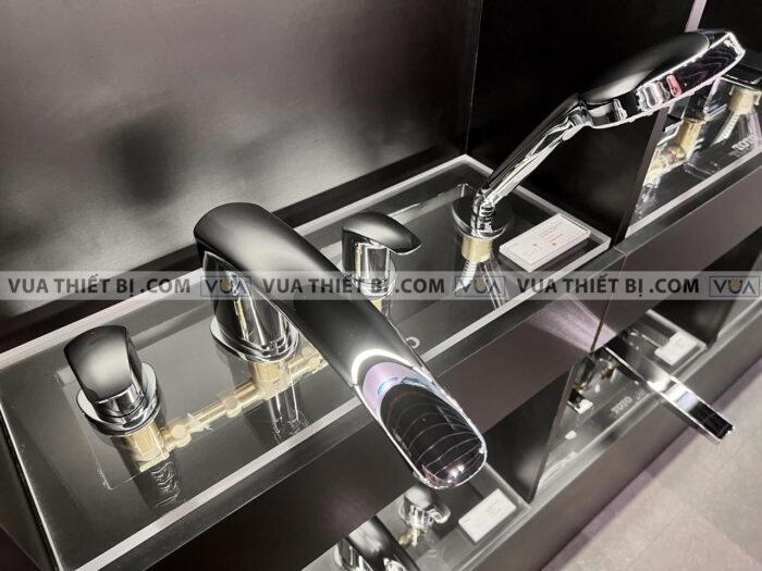 anh thuc te voi sen xa bon tam toto tbg09202a gan bon 4 lo gm 1