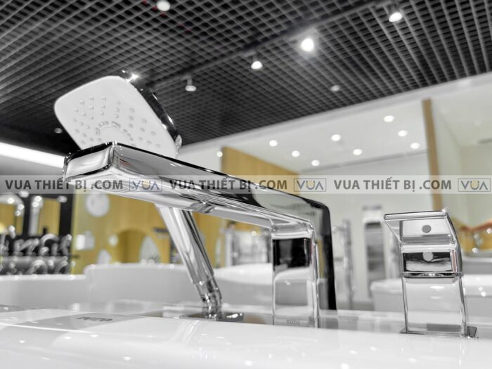 anh thuc te voi sen xa bon tam toto tbg10305a gan bon 3 lo gb 4