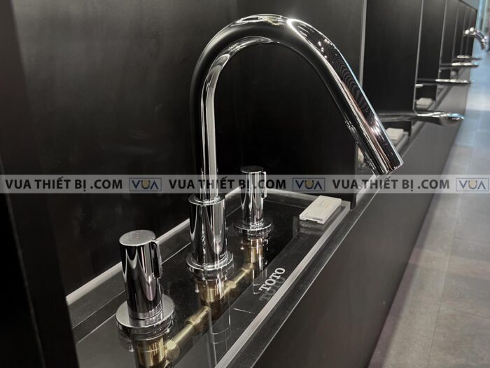 anh thuc te voi sen xa bon tam toto tbg11201b gan bon 3 lo gf 4