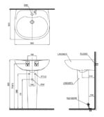 ban ve bon rua mat lavabo toto lpt239cr