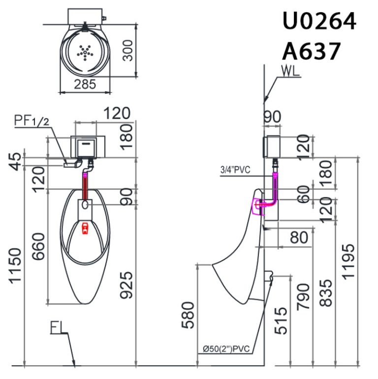 ban ve ki thuat bon tieu nam caesar u0264 a637 treo tuong