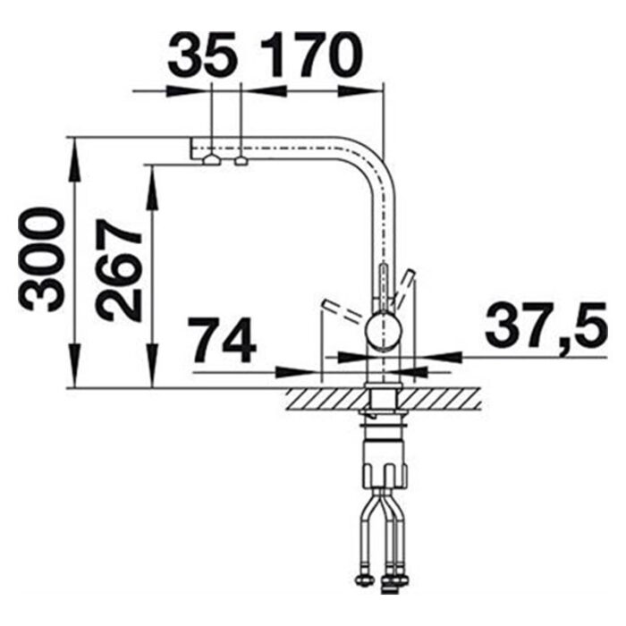 ban ve kich thuoc voi rua bat blanco fontas ii jasmine