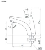 ban ve voi gan chau rua mat ts100n toto