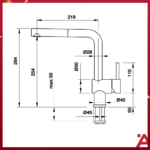 ban ve voi rua bat blancolinus s 56568350 mau den