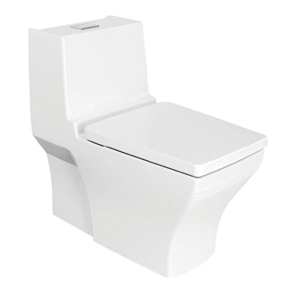 bon cau 1 khoi american standard 2060 wt wp 2060 dong nobile nap em