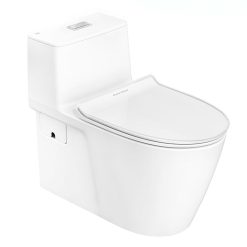 bon cau 1 khoi american standard vf 1808et acacia supasleek nap em