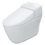 bon cau 1 khoi inax ac 1032vn aqua ceramic nap em