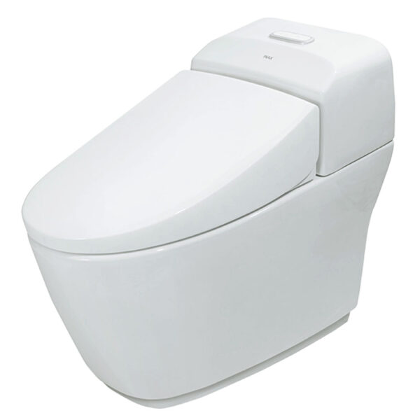 bon cau 1 khoi inax ac 1032vn aqua ceramic nap em