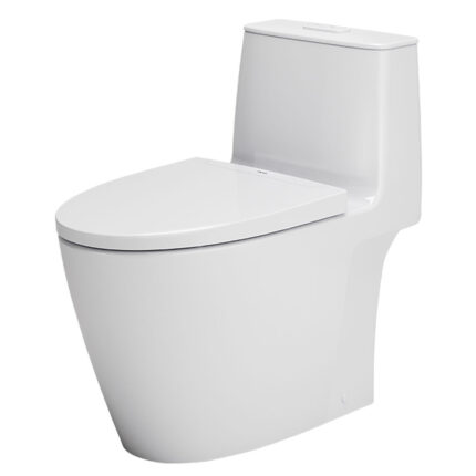 bon cau 1 khoi inax ac 902vn aqua ceramic nap em