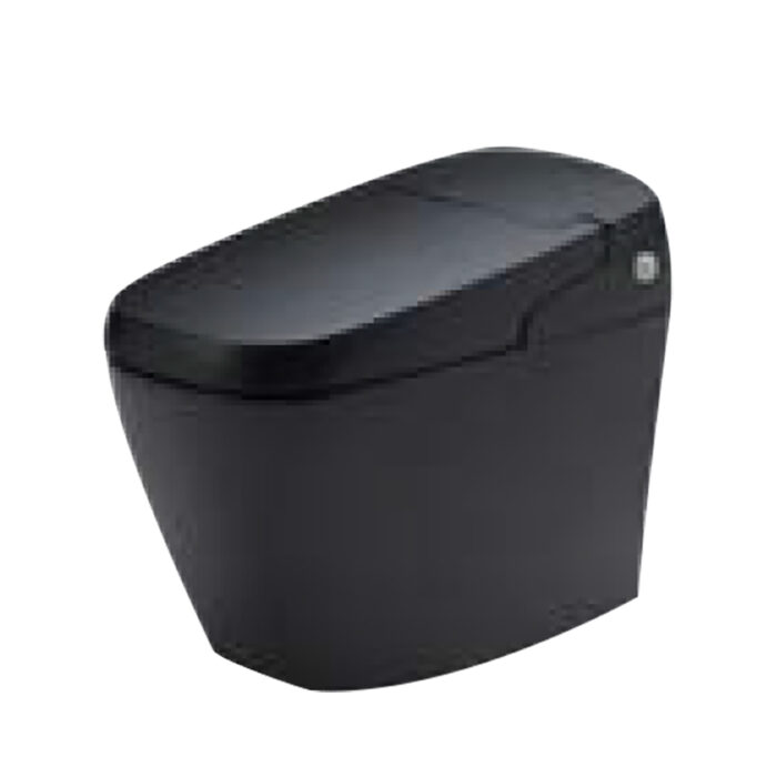 bon cau 1 khoi inax ac g216vn bkg nap rua dien tu