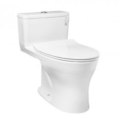 bon cau 1 khoi toto ms855dt8 nap tc600vs