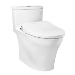 bon cau 1 khoi toto ms885de2 nap rua co tcw07s