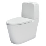 bon cau 2 khoi inax ac 832vn aqua ceramic nap em