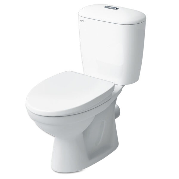 bon cau 2 khoi inax c 306vpt nap thuong