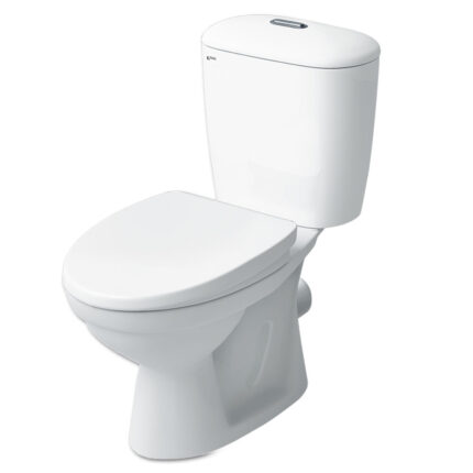 bon cau 2 khoi inax c 306vptn nap em