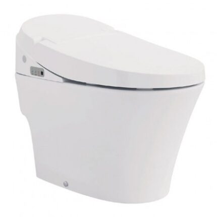 bon cau dien tu viglacera v91 thong minh