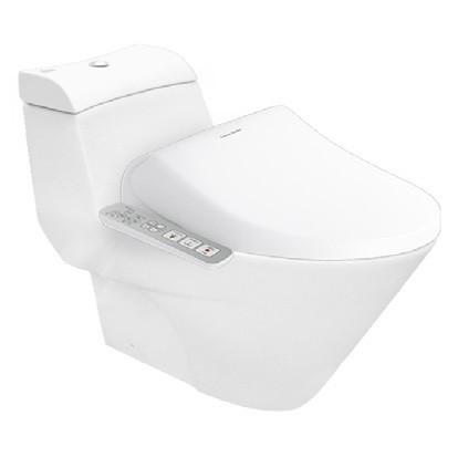 bon cau thong minh american standard vf 2010pl nap dien tu pristine wp 7sl1