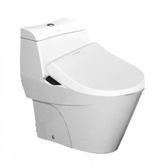 bon cau thong minh american standard vf 2010pr nap dien tu pristine star