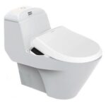 bon cau thong minh american standard vf 2011pr nap dien tu pristine star