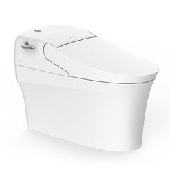 bon cau thong minh american standard wp 5017 aerozen g2 nap dien tu