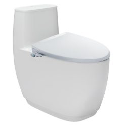 bon cau thong minh inax ac 1052 cw s32vn aqua ceramic nap rua co