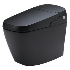 Bồn cầu thông minh INAX AC-G216VN BKG SATIS G nắp điện tử