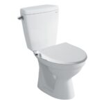 bon cau thong minh inax c 117a cw s15vn nap rua co