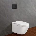 bon cau treo tuong viglacera v55 nap em